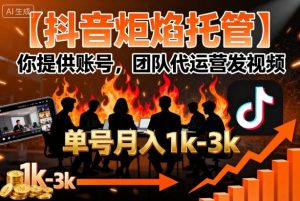 【抖音炬焰托管】你提供账号,团队代运营发视频,单号月入1k+【揭秘】-赚钱驿站