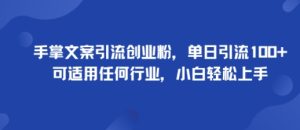 手掌文案引流创业粉,单日引流100+,可适用任何行业,小白轻松上手-赚钱驿站