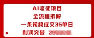 AI收徒项目全流程拆解一条视频成交35单日利润突破1k+-赚钱驿站