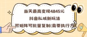 当天最高变现1k+,抖音私域新玩法,可矩阵可批量复制-赚钱驿站