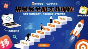 拼多多全阶实战课程,从新手小白到运营高手,海量实战玩法+全年实时更新【2025年9月更新】-赚钱驿站