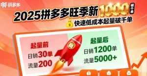 2025拼多多旺季新老店铺——快速低成本起量破千单-赚钱驿站