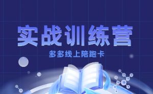 多多实战训练营,从0到1打造一个真正賺钱的店铺-赚钱驿站