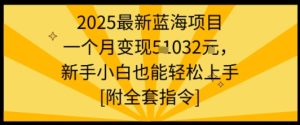 2025最新蓝海项目一个月变现1w+新手小白也能轻松上手【附全套指令】-赚钱驿站