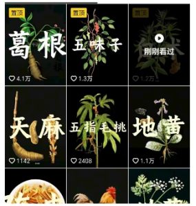 抖音中草药赛道,用AI做中草药故事视频,45条作品涨粉13W,橱窗带货猛猛出单-赚钱驿站