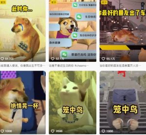 狗头幸运星UE5动画全套课程，从入门到实操全掌握-赚钱驿站