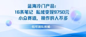 蓝海项目:16条笔记私域变现9750米小众赛道操作的人不多-赚钱驿站