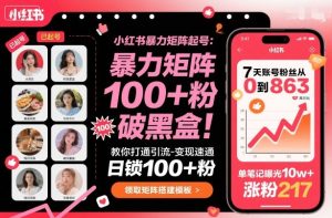 小红书暴力矩阵起号,教你打通引流-变现速通,日锁100+粉,破流量黑盒-赚钱驿站