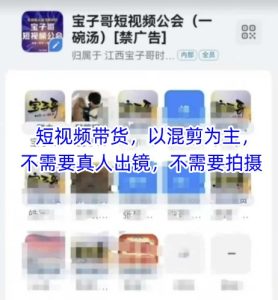宝子哥头部团队短视频带货,以混剪为主,不需要真人出镜,不需要拍摄【更新9月】-赚钱驿站