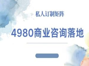 4980商业咨询师落地课程-ip运营高客单教程-赚钱驿站