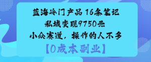 蓝海冷门产品:16条笔记私域变现9750米小众赛道,操作的人不多-赚钱驿站