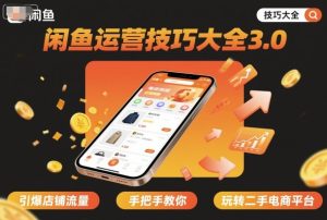 闲鱼运营技巧大全3.0,引爆店铺流量,手把手教你玩转二手电商平台-赚钱驿站