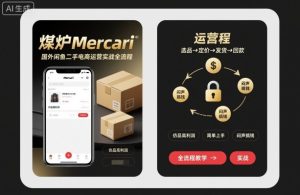 煤炉Mercari国外闲鱼二手电商运营实战全流程,仿品高利润,简单上手,闷声搞钱-赚钱驿站