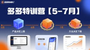 多多特训营,产品决定上限,方法决定下限,各种玩法技巧落地实操(更新)-赚钱驿站