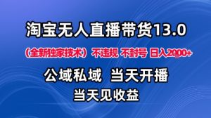 淘宝无人直播13.0,公域私域技术,不封号,不违规布局下半年旺季赛道,日入1K+(独家技术)【揭秘】-赚钱驿站