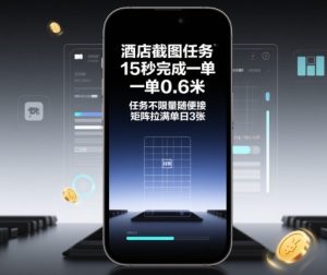 酒店截图任务,15秒完成一单,一单0.6米,任务不限量随便接,矩阵拉满单日3张【揭秘】-赚钱驿站