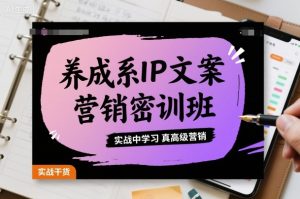 养成系IP文案营销密训班,实战中学习真高级营销-赚钱驿站
