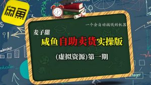 麦子甜咸鱼自助卖货实操版(虚拟资源)一个会自动搞钱的机器-赚钱驿站
