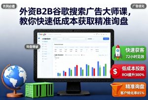 外资B2B谷歌搜索广告大师课,教你快速低成本获取精准询盘-赚钱驿站