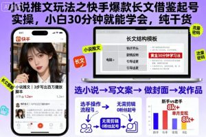 小说推文玩法之快手爆款长文借鉴起号实操,小白30分钟就能学会,纯干货-赚钱驿站