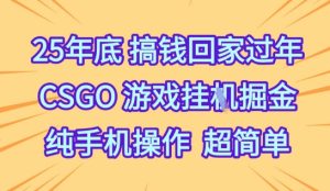 25年底搞钱回家过年,CSGO游戏挂G掘金,纯手机操作超简单【揭秘】-赚钱驿站
