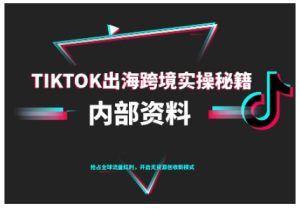 TikTok跨境电商0-1搭建运营,TK出海跨境实操秘籍(10月更新)-赚钱驿站