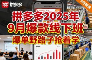 拼多多2025年9月爆款线下班,爆单野路子抢着学-赚钱驿站