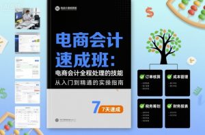 电商会计速成班,电商会计全程处理的技能-赚钱驿站