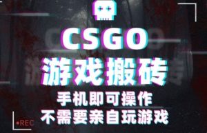 CSGO游戏挂G捡漏,单日扫货5张+,年底小高峰上车可吃肉,手机即可操作,兼职副业创业网创【揭秘】-赚钱驿站