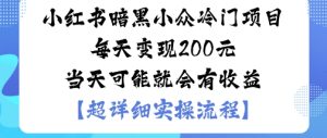 小红书暗黑小众冷门项目每天变现2张当天可能就会有收益-赚钱驿站