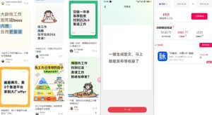 毕业生求职项目拆解_脉脉拉新空白市场,蓝海开局-赚钱驿站