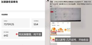 游戏加速器项目4.0_最新打法思路(爱玩游戏也能边玩边被动收益)-赚钱驿站