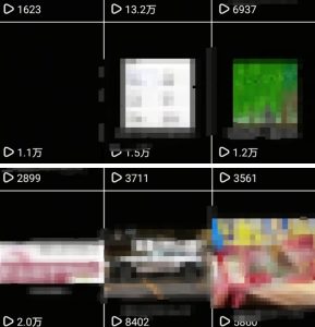 抖音引流创业粉教程,创业粉终于跑通了,私域是永远的王-赚钱驿站