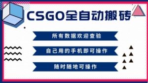 CSGO全自动搬砖,年底钱回家好项目,当天可拿到结果,新手小白轻松月入1W+【揭秘】-赚钱驿站