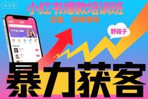 小红书爆款培训班，小红书获客野路子流量打法，暴力持续获客-赚钱驿站