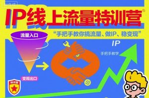IP线上流量特训营，手把手教你搞流量、做IP、稳变现-赚钱驿站