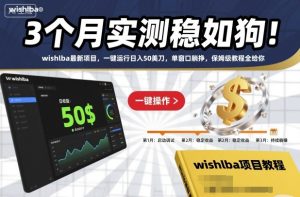 3个月实测稳如狗！wishlba最新项目，一键运行日入50美刀，单窗口躺挣，保姆级教程全给你【揭秘】-赚钱驿站