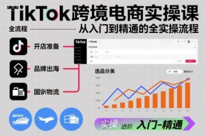 TikTok跨境电商实操课，从入门到精通的全实操流程-赚钱驿站