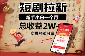 短剧拉新新手小白一个月总收益2W+实操经验分享-赚钱驿站