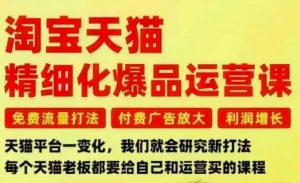 淘宝天猫精细化爆品运营课，免费流量打法-付费广告放大-利润增长-三大核心痛点，一次全部解决-赚钱驿站