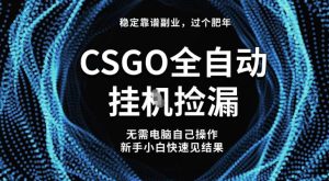 【稳定副业】全球最热门游戏CSGO全自动捡漏，最新玩法，新手小白日入5张+【揭秘】-赚钱驿站