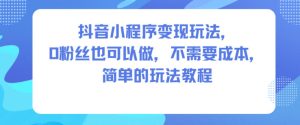 抖音小程序变现玩法，0粉丝也可以做，不需要成本，简单的玩法教程-赚钱驿站