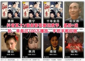 抖音某大V最新影视解说教学，基础+进阶，单条过100万播放，手把手教你做-赚钱驿站