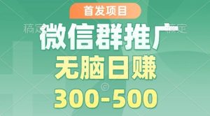 首发项目，微信群推广掘金，多号矩阵无脑日入3-5张【揭秘】-赚钱驿站