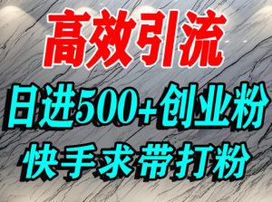 怎么打创业粉？快手求带视角精准引流创业粉，宝妈、学生群体日进500+精准流量-赚钱驿站