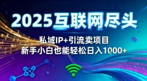 2025网创尽头王炸项目!私域IP+精准引流,新手小白在家躺賺日入1k,零经验也能上手【揭秘】-赚钱驿站