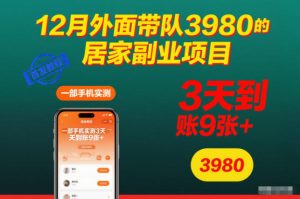 12月外面带队3980的居家副业项目,一部手机实测3天到账9张+,首发教程【揭秘】-赚钱驿站