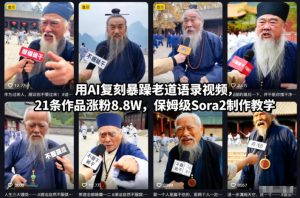 用AI复刻暴躁老道语录视频，21条作品涨粉8.8W，保姆级Sora2制作教学-赚钱驿站