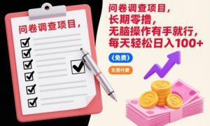 问卷调查项目,长期零撸,无脑操作有手就行,每天轻松日入100+【揭秘】-赚钱驿站