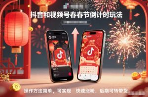抖音和视频号,春节倒计时玩法,操作方法简单,可实现快速涨粉,后期可转带货-赚钱驿站